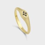 The Oval Onyx Signet 14K Gold