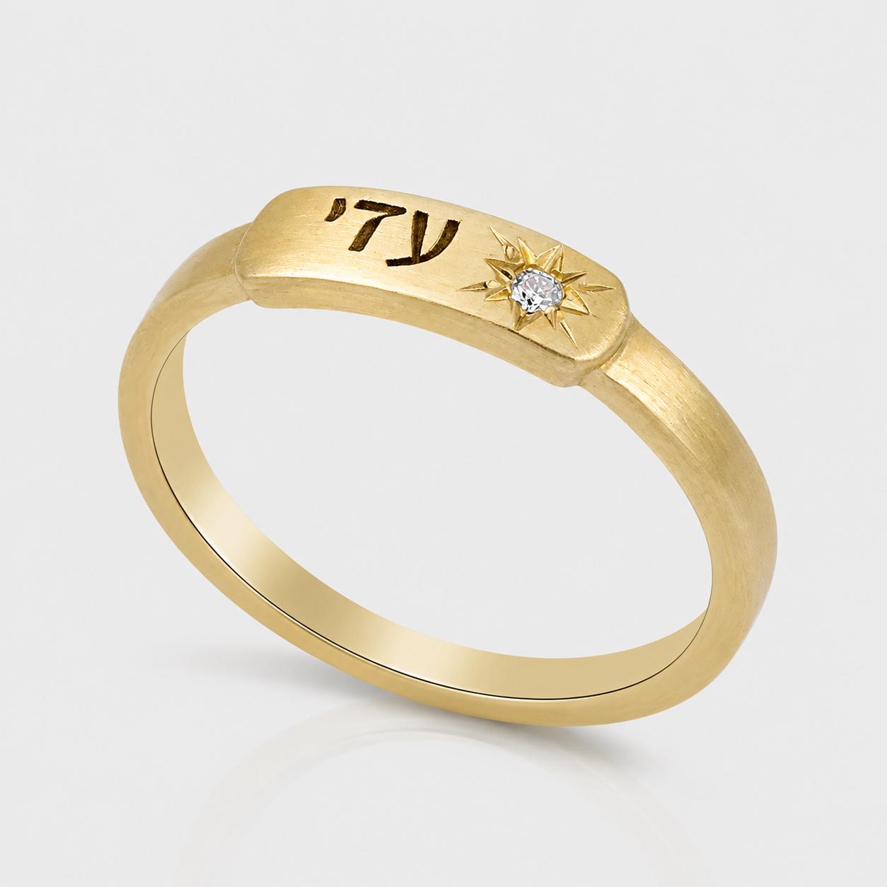 4R85A The Personalized Diamond Keepsake Ring - Image 1