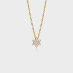 שרשרת מגן דוד משובץ מרבד יהלומים